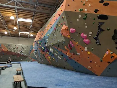 Indoor rock climbing gym with colorful textured holds covering towering walls, climbers scaling routes under bright LED lights