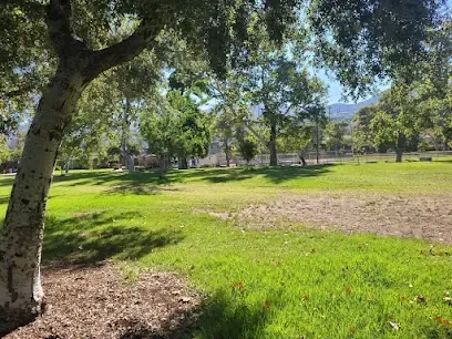 Lush green park with shady sycamore trees, families picnicking near a playground under sunny Glendale skies