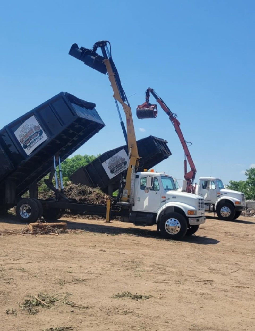 Two people in a lift bucket cutting a tree branch infested with mistletoe. Cloudy sky.