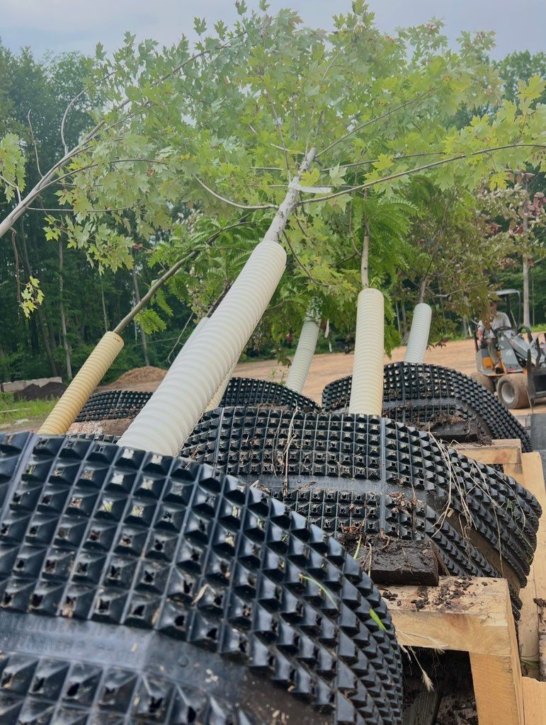 Wood chipper spraying wood chips in a forest setting.