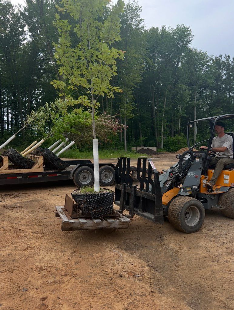 Green stump grinder cutting into a wooden stump, wood chips flying.
