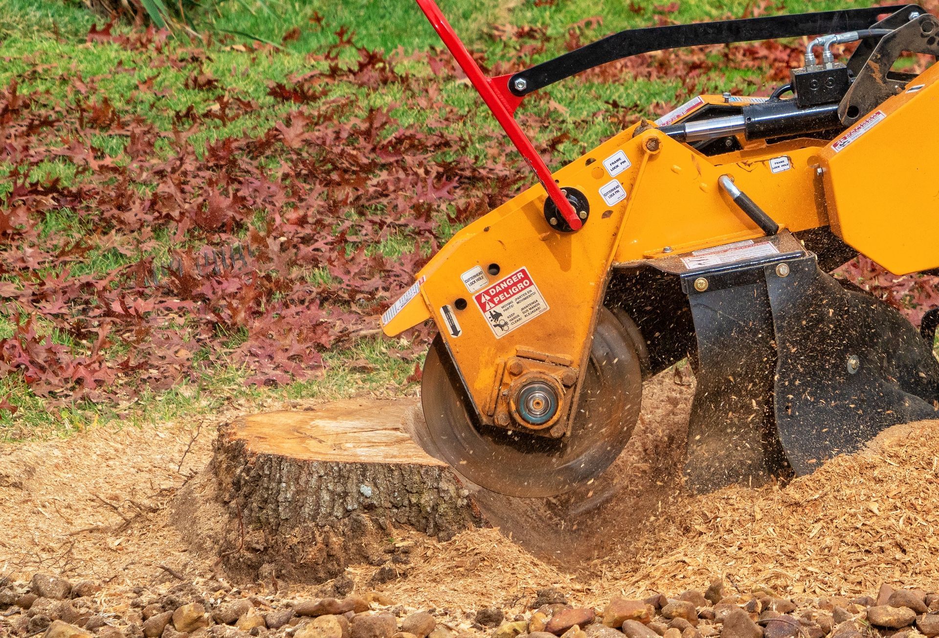 Yellow stump grinder grinding a tree stump in a yard, with wood chips scattered.