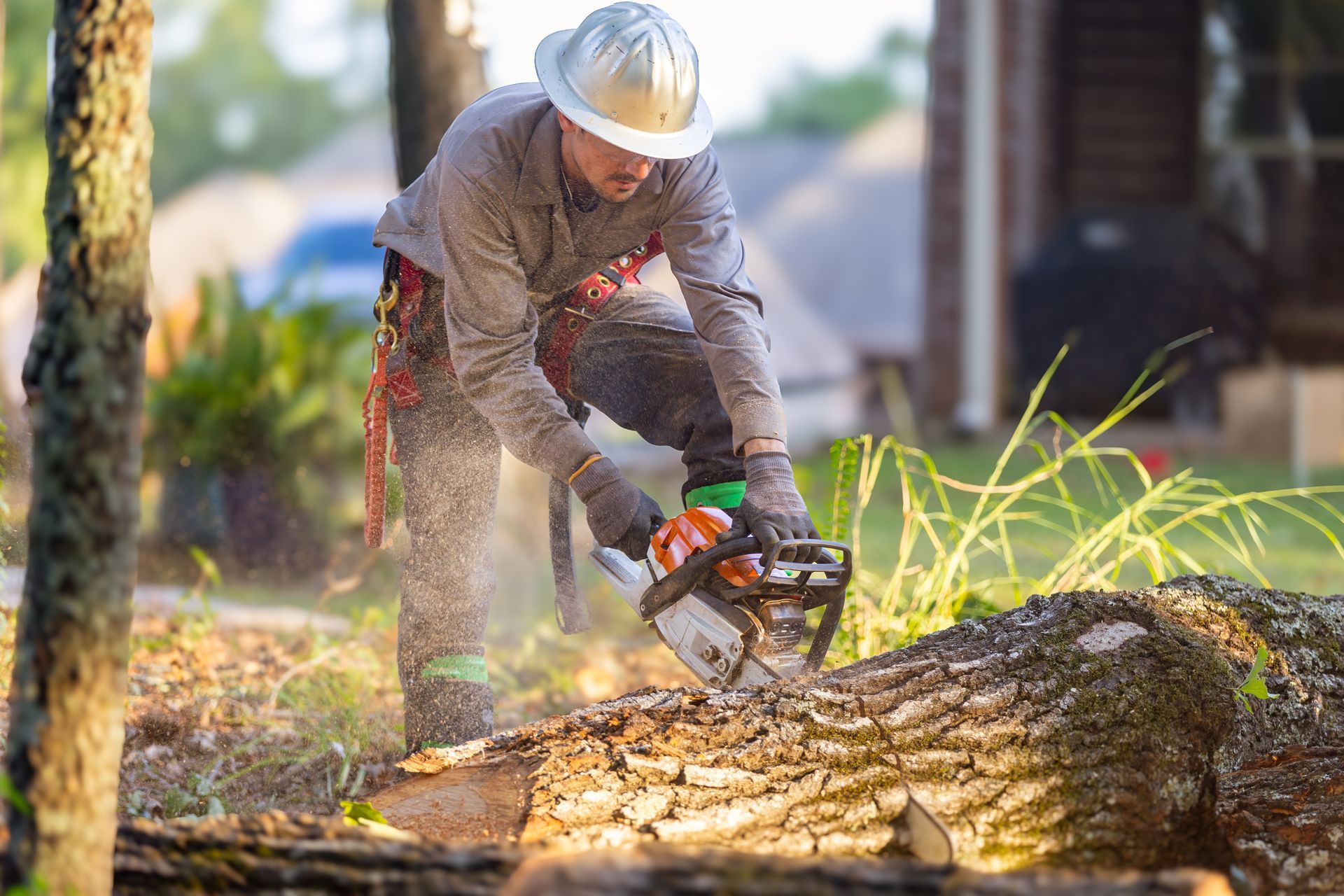 Arborist in hard hat using a chainsaw to cut a log outdoors, wood chips flying.