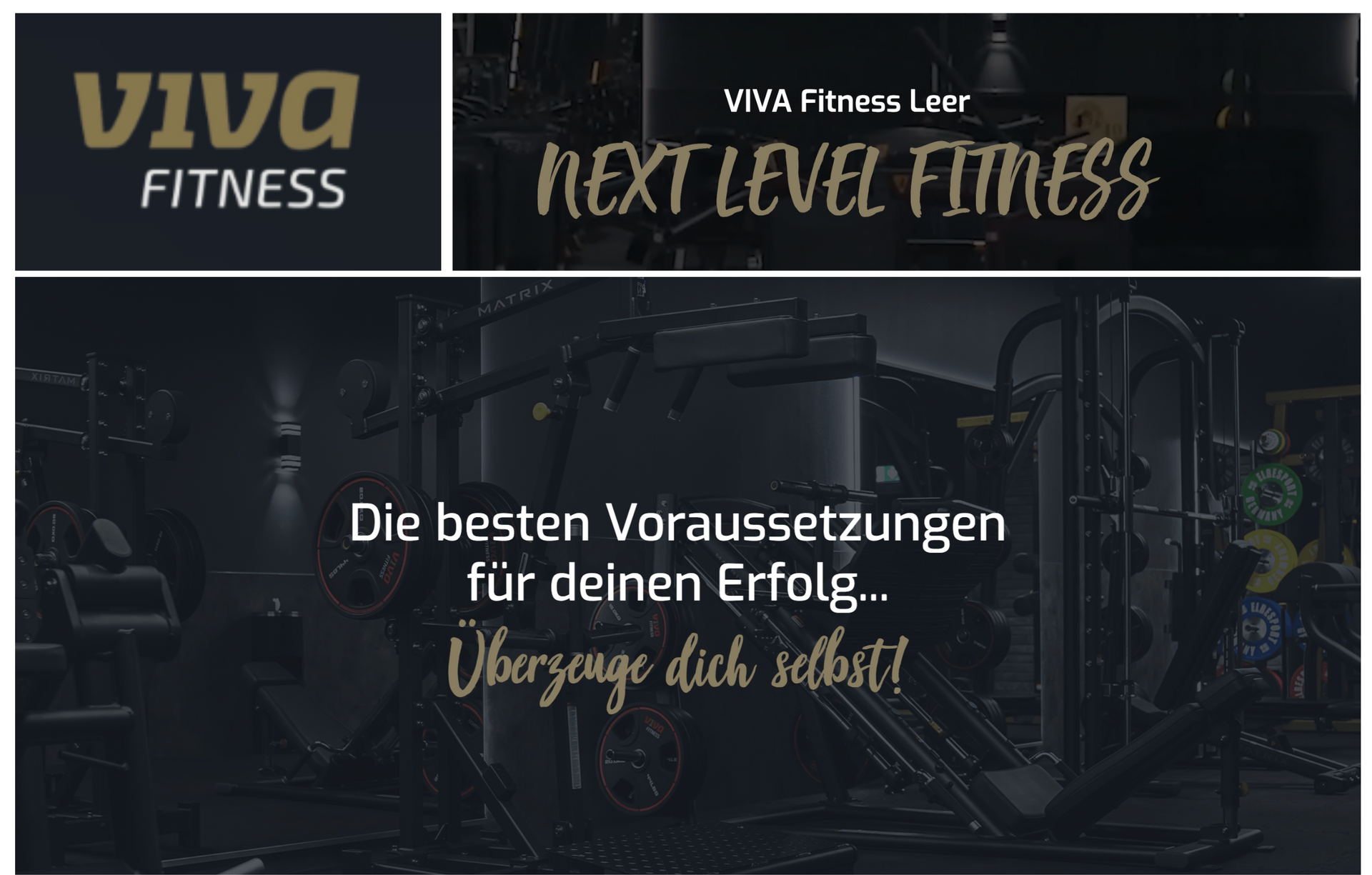 VIVA Fitness Leer