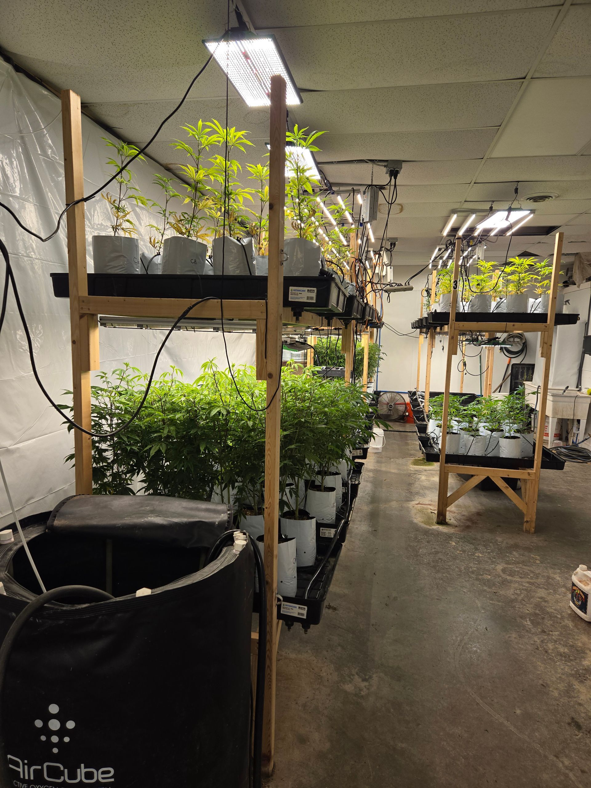 Indoor hydroponic plant growing system with multiple shelves, lights, and an AirCube reservoir.