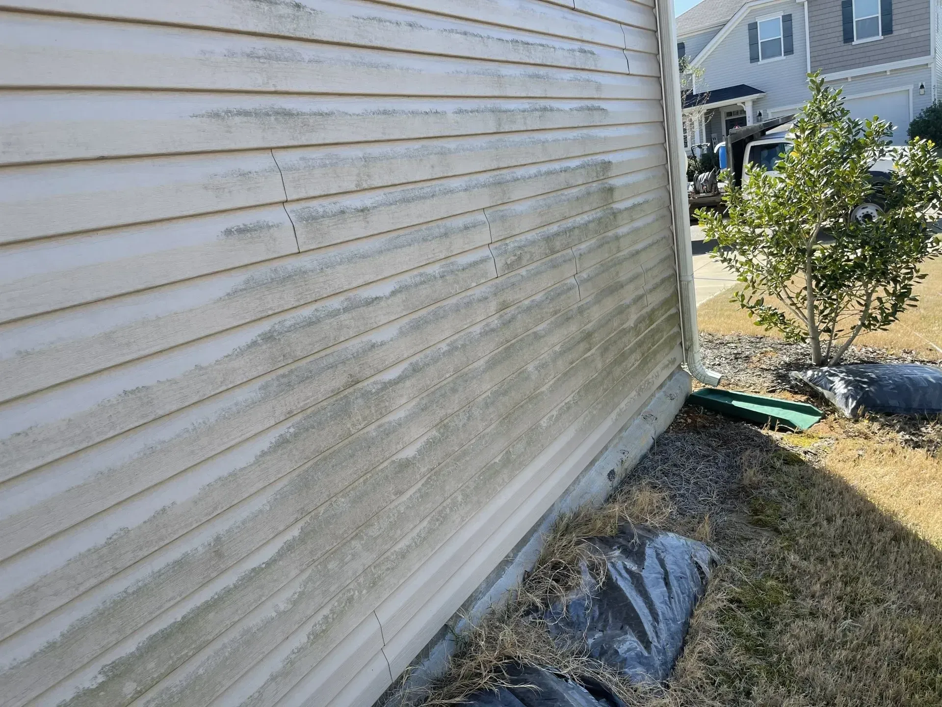 Moldy siding on a beige house exterior. Grass and mulch in the foreground.