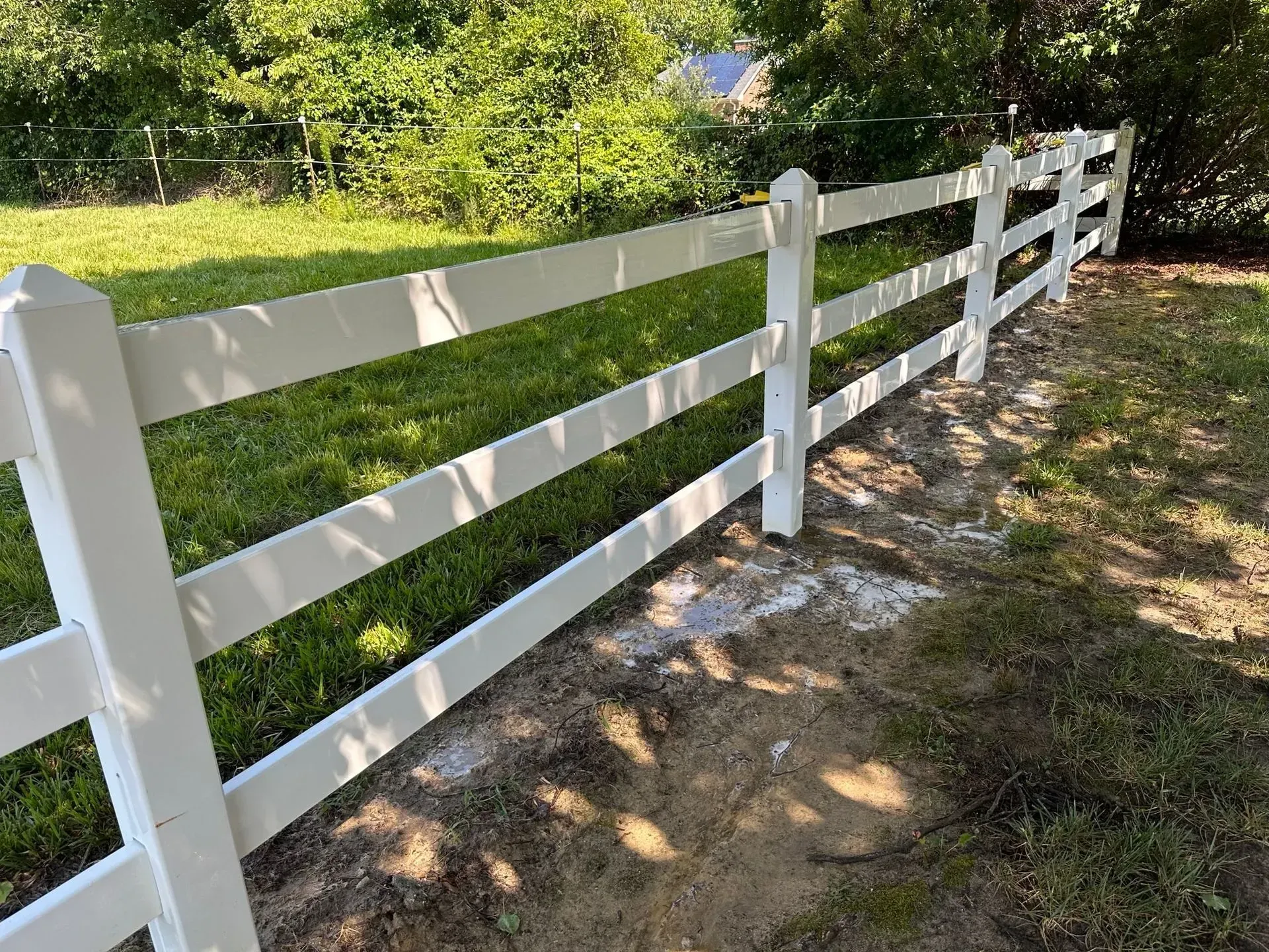 White three-rail fence in a grassy yard, under bright sunlight, with green foliage in the background.