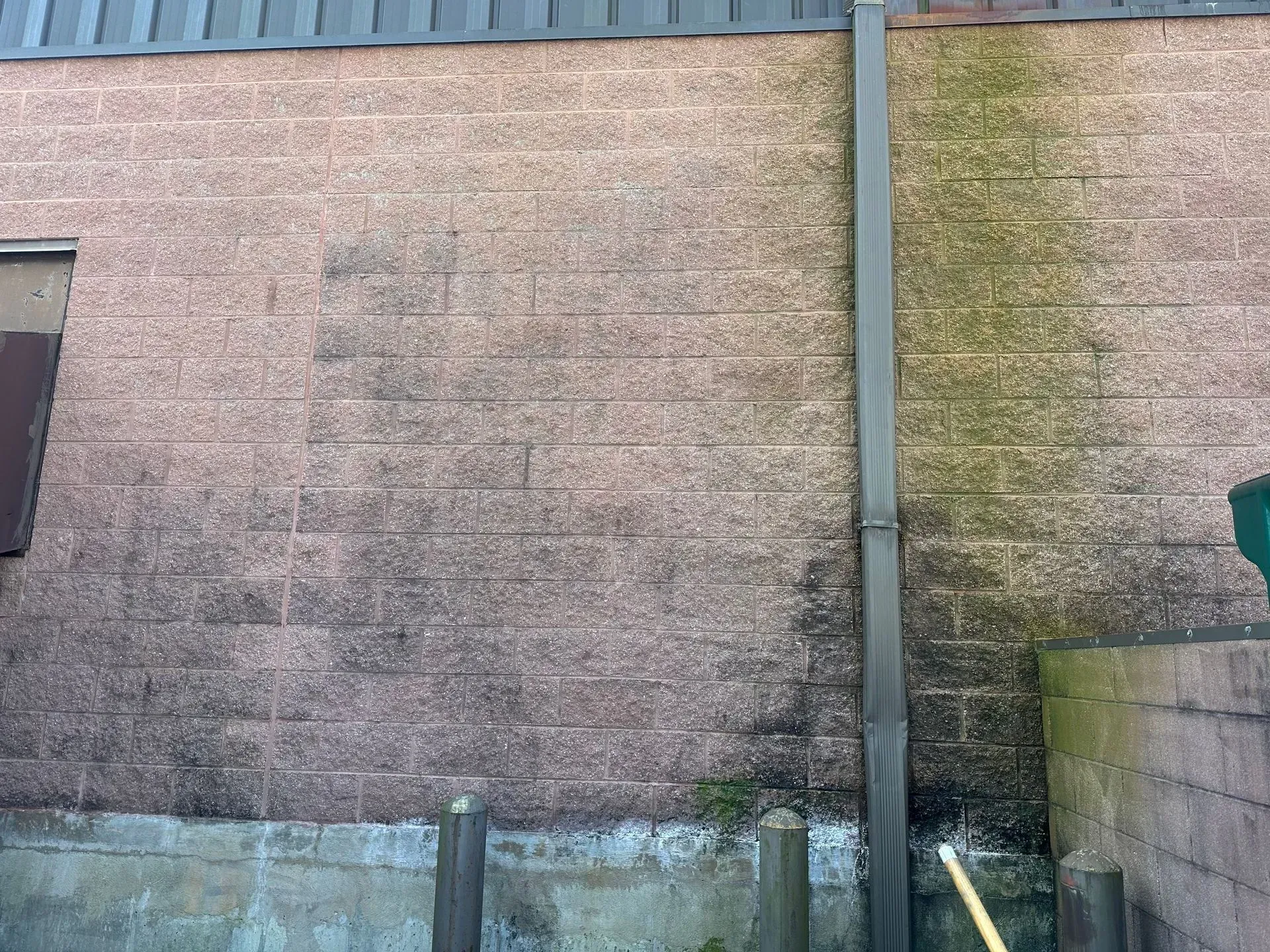 Brick wall with dark discoloration and a downspout; sections of green growth near the bottom.