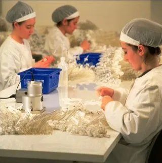 Assemblaggio in camera bianca