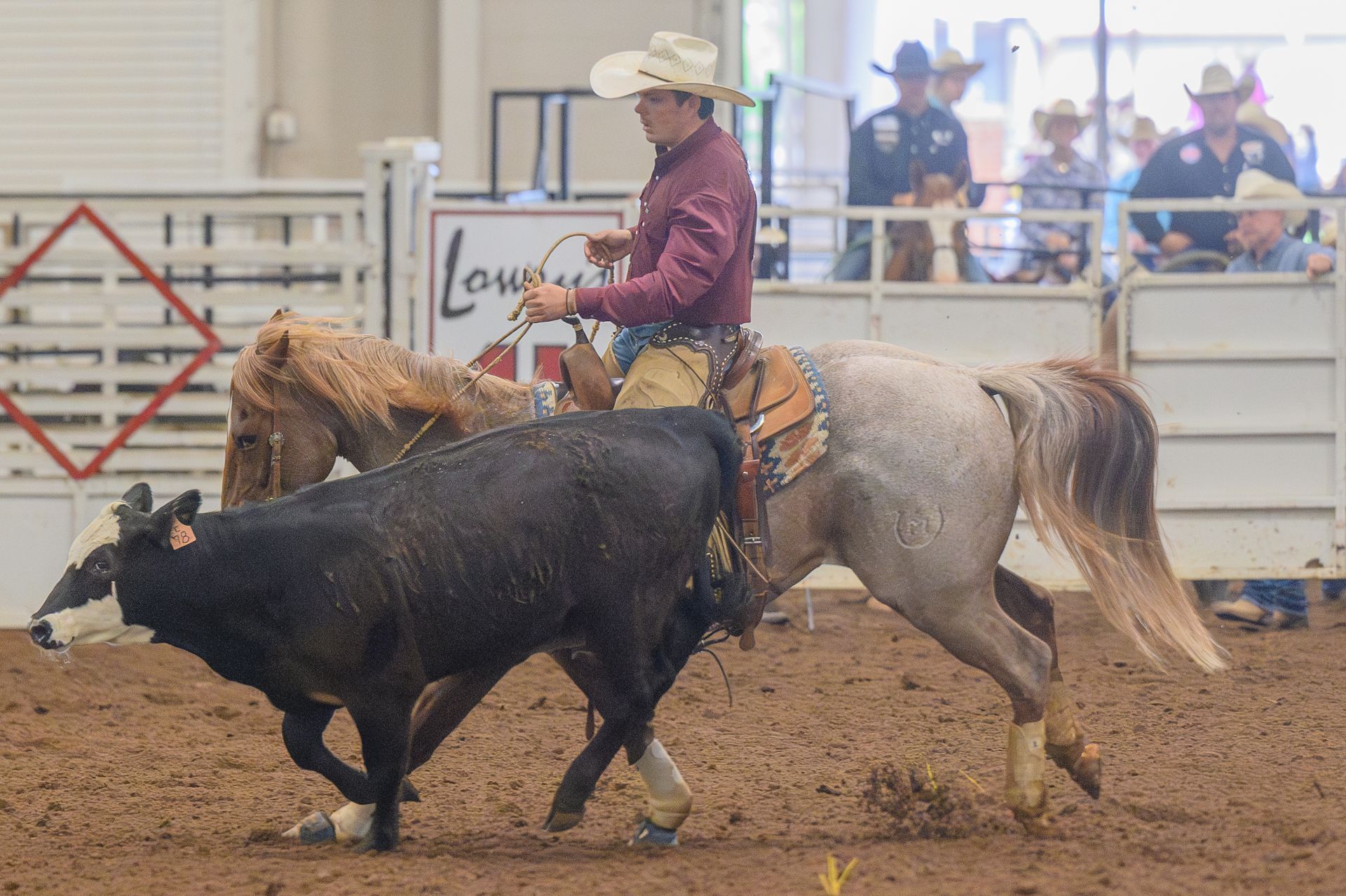Horsemanship GSRA