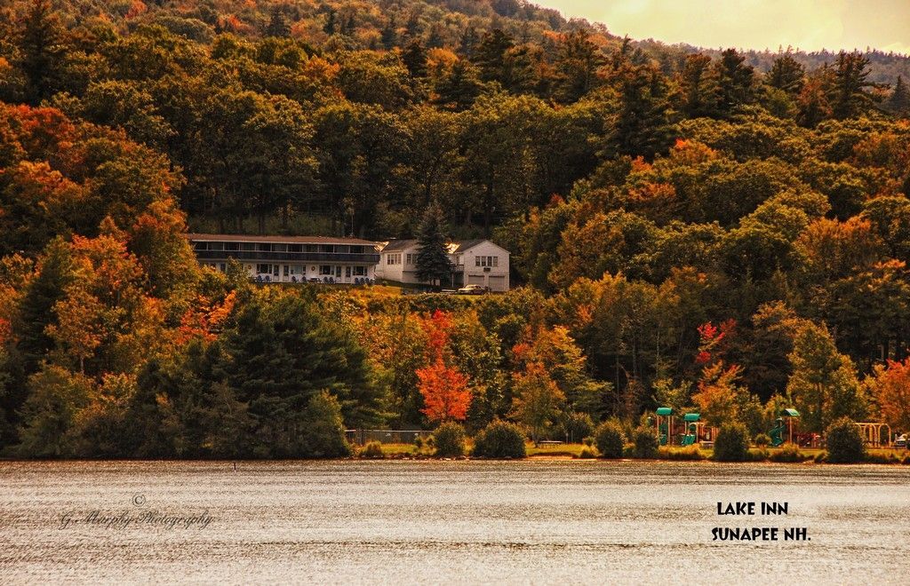 Autumnal scene: A motel sits nestled amongst trees in fall colors, overlooking a lake.