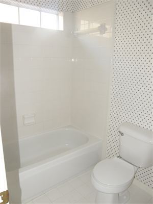 Bathroom toilet and tub