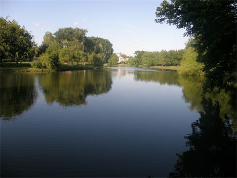 Lake or river with trees around it on a clear day