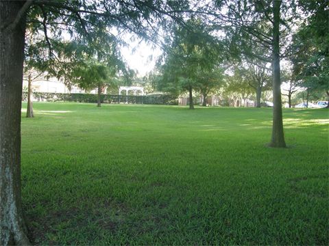 Manicured green lawn with sporadic trees