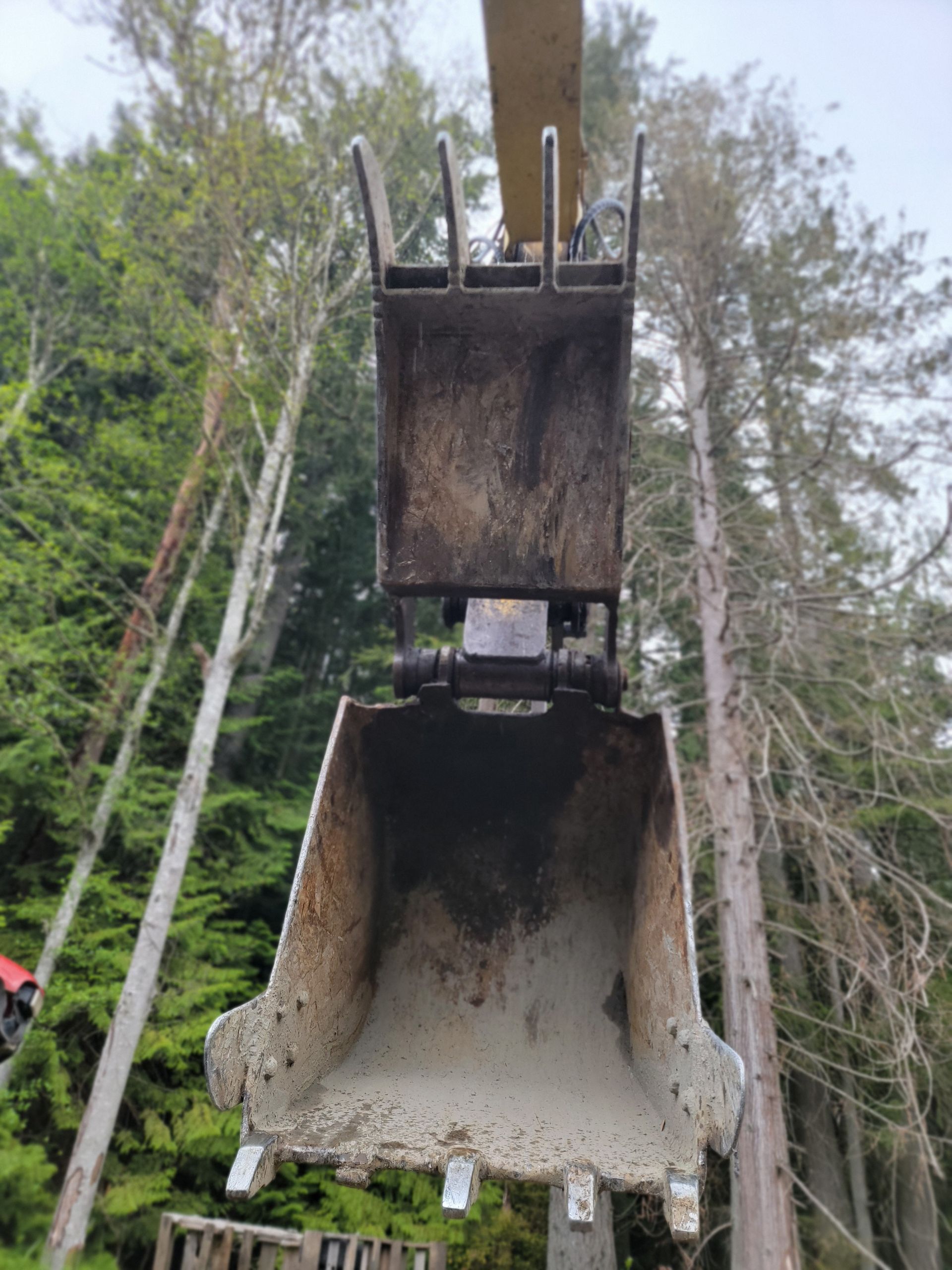 An excavator bucket with teeth, raised against a backdrop of tall trees, shows signs of dirt.