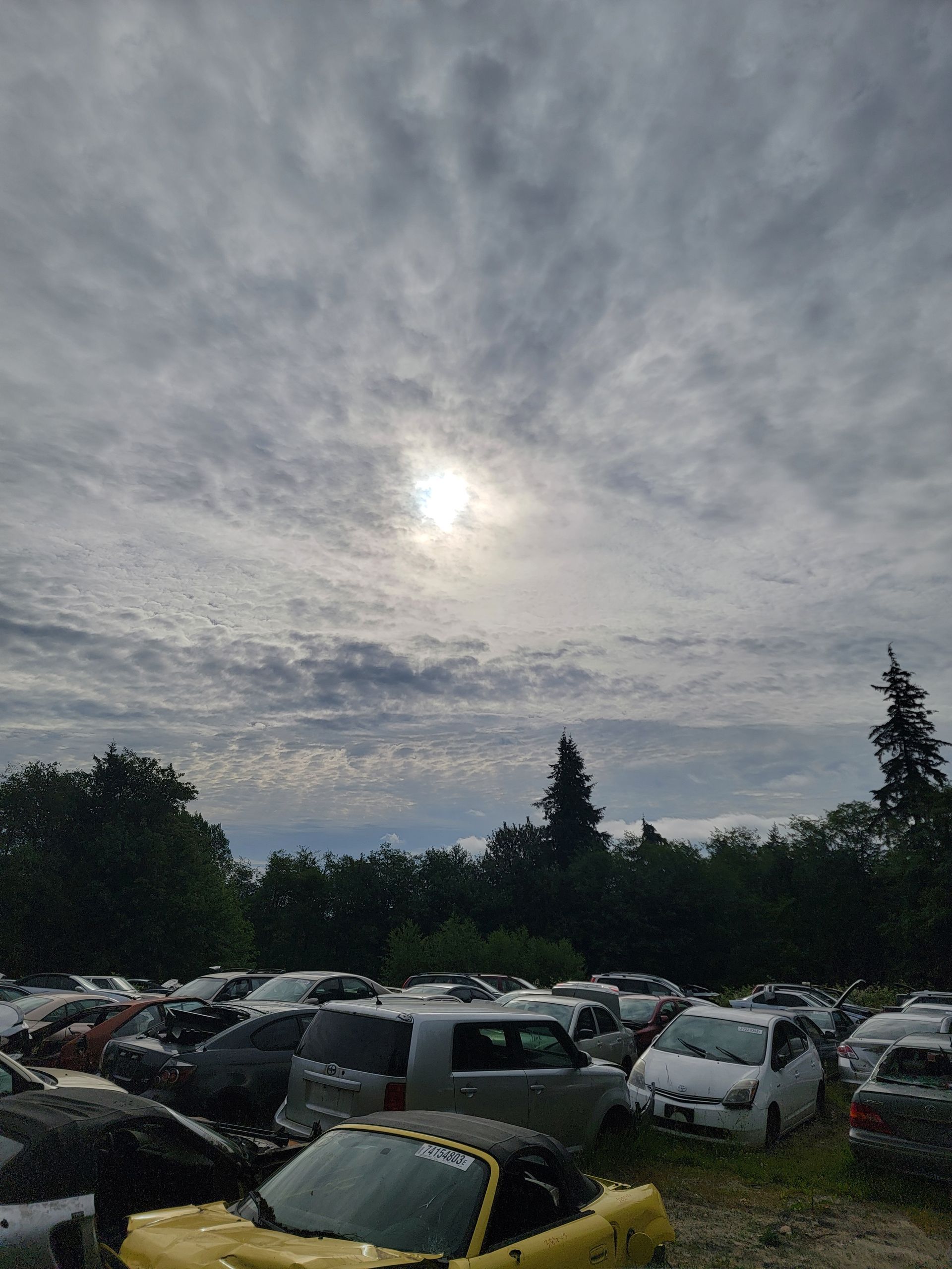 Overcast sky over a junkyard full of cars. Sun peeks through the clouds, trees in the background.