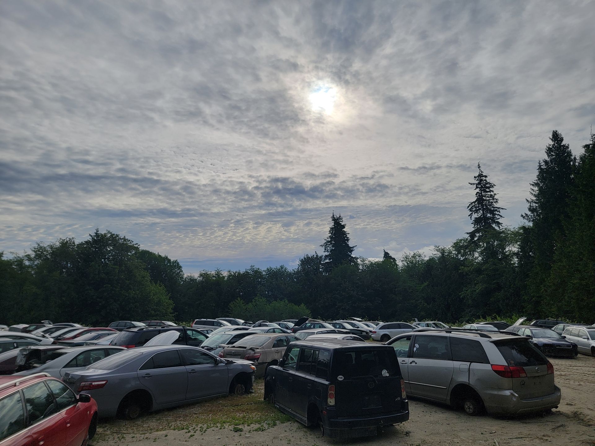 Cars in a junkyard beneath a cloudy sky, with sunlight breaking through.