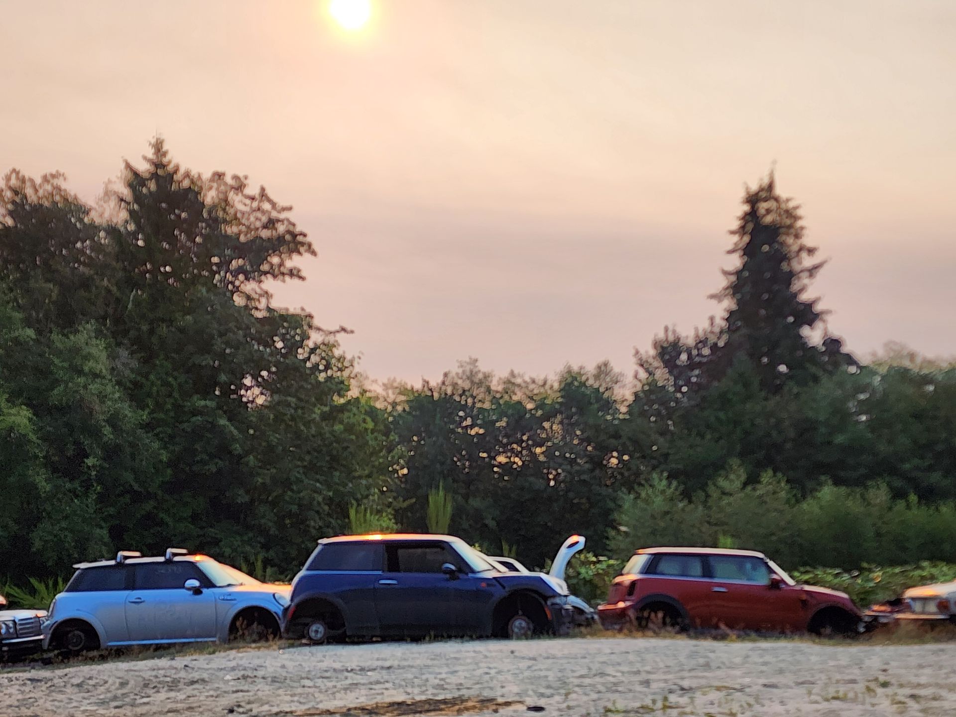 Cars parked in a line in front of trees under a hazy, dusky sky.