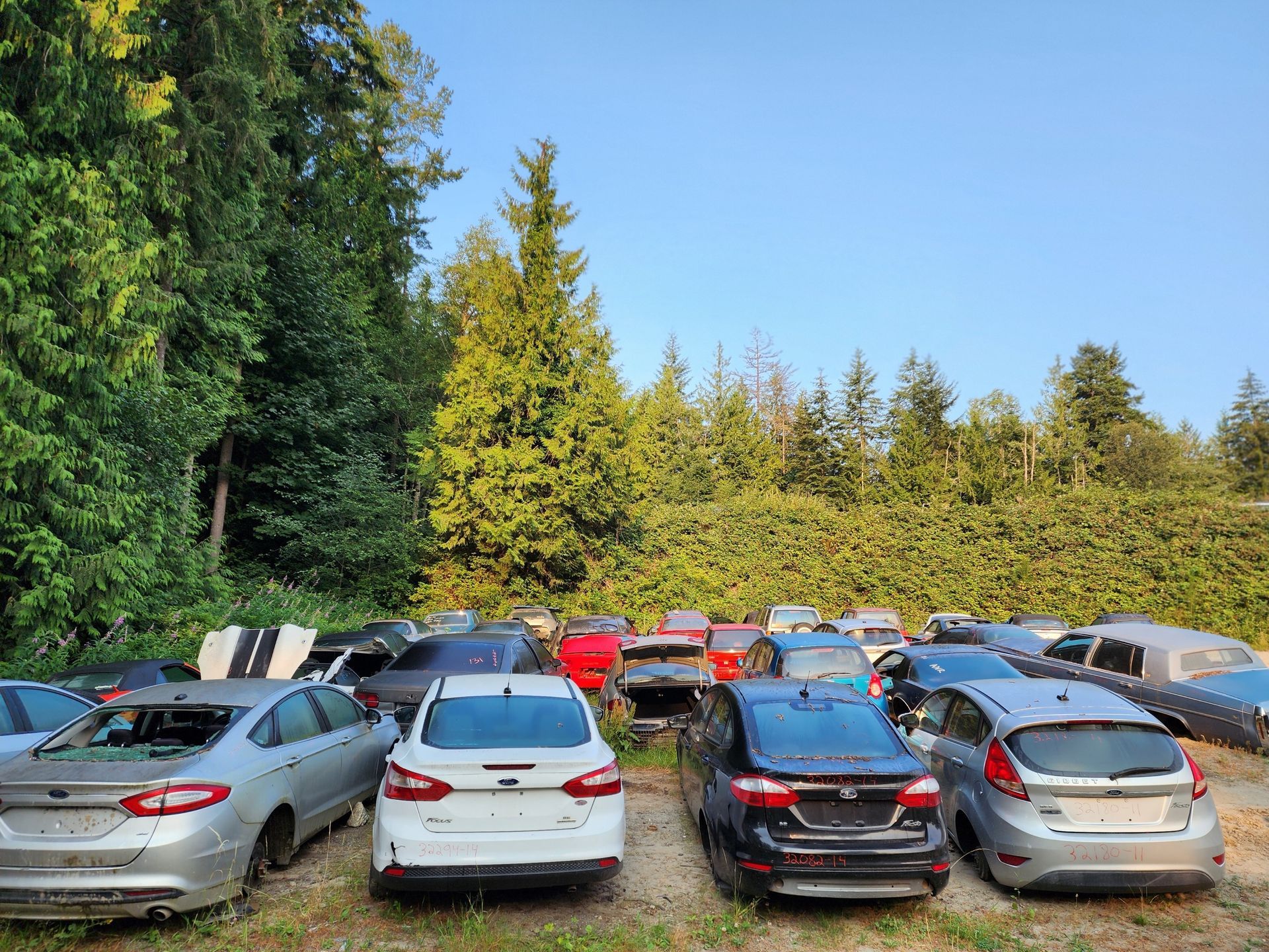 Cars parked in a wooded lot; many have missing windows and tops, indicating they are damaged.