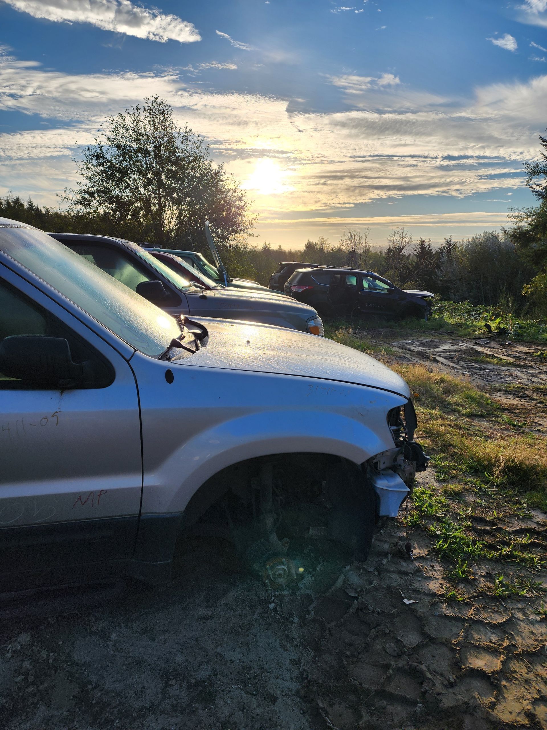 Several vehicles parked on muddy ground at sunset.