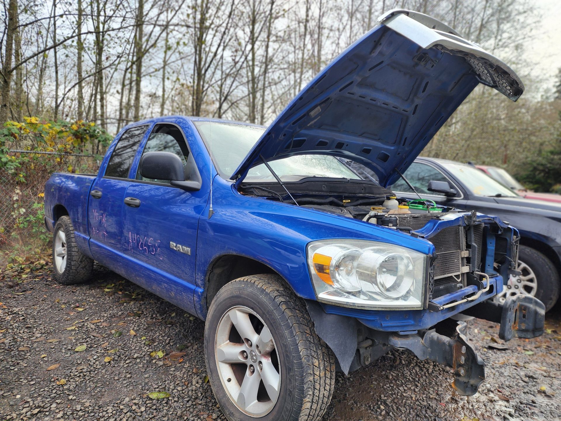 Blue Dodge Ram pickup truck with open hood, in a forested area. Front end damage.