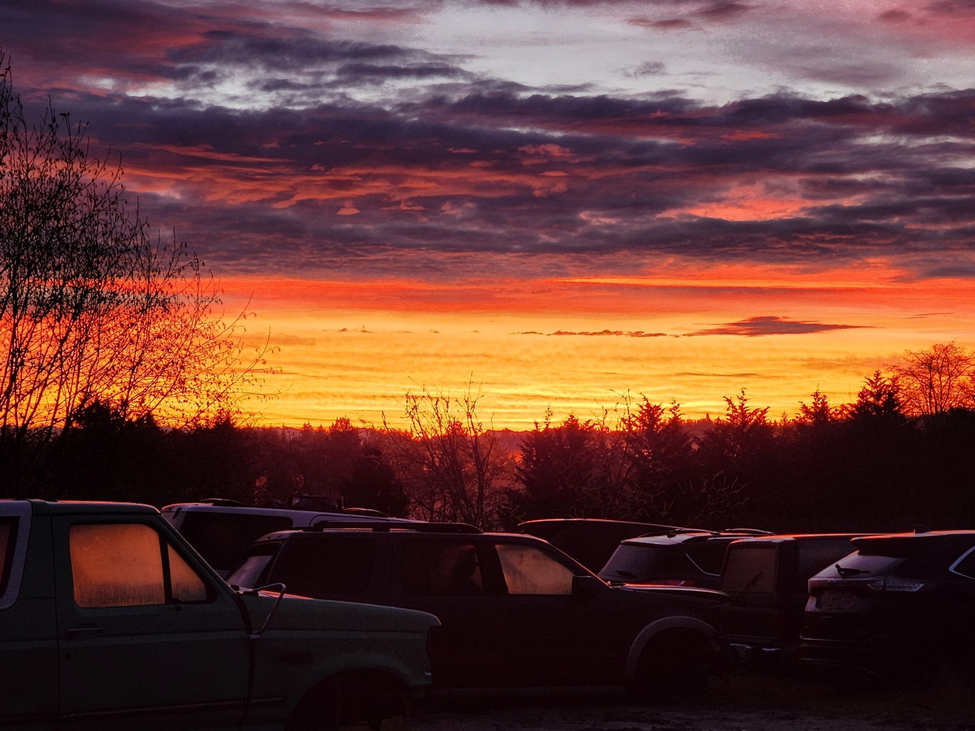 Fiery sunset over a tree line and parked cars; orange and purple clouds.