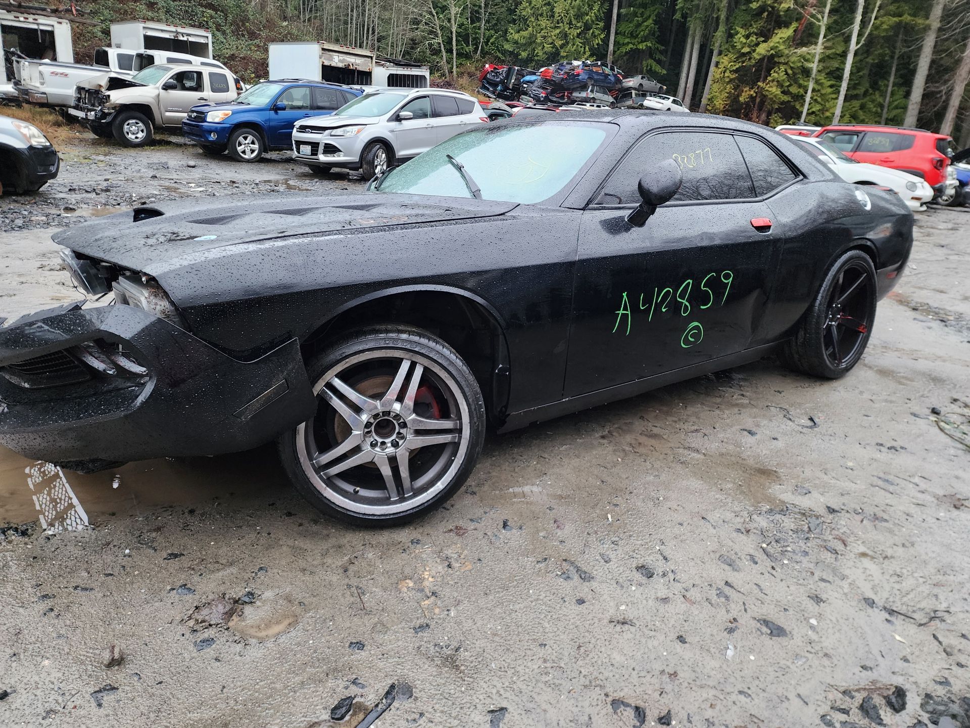 Black, wrecked Dodge Challenger in a salvage yard.