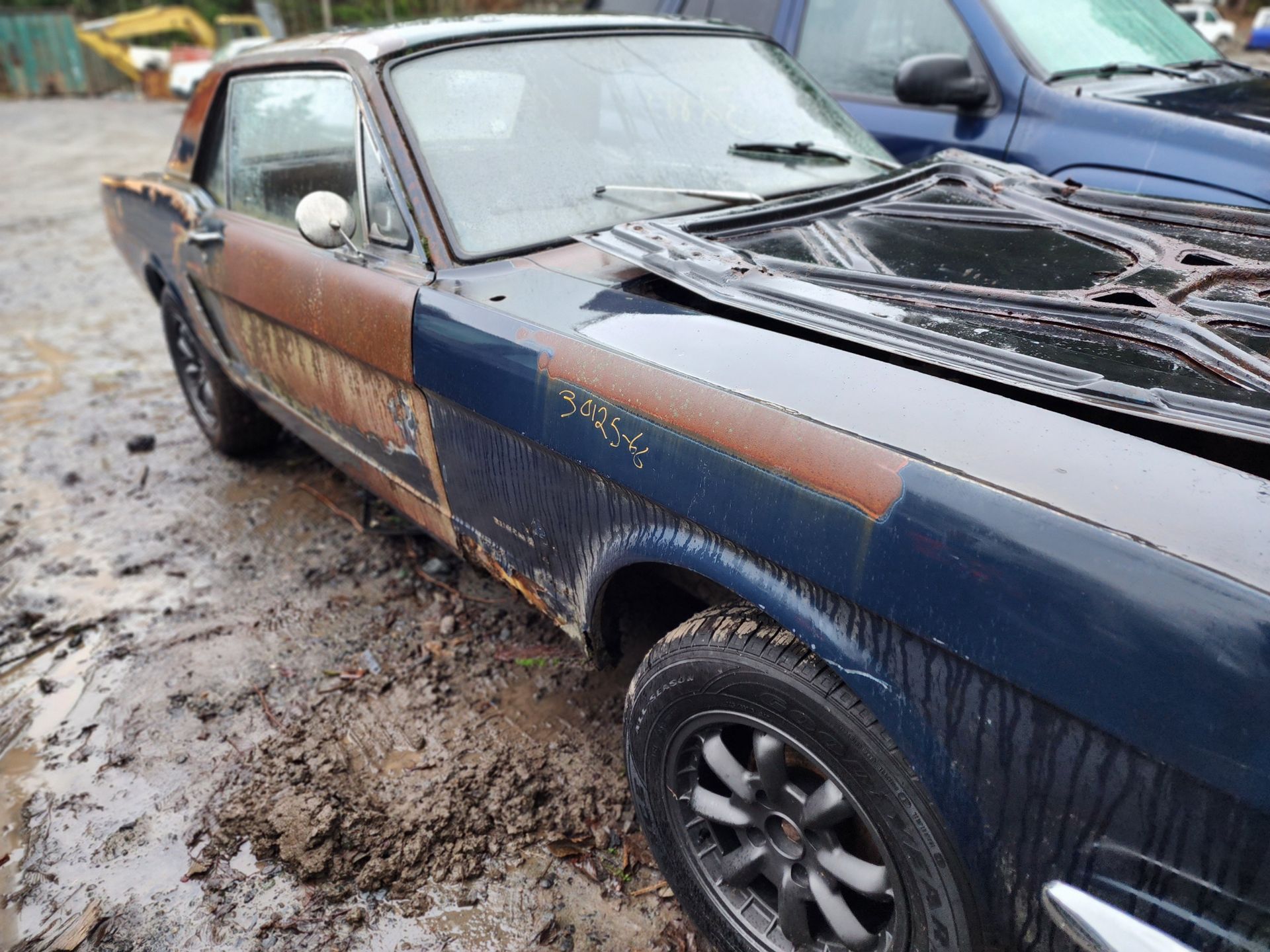 Rusty blue and brown Ford Mustang coupe parked in muddy surroundings.