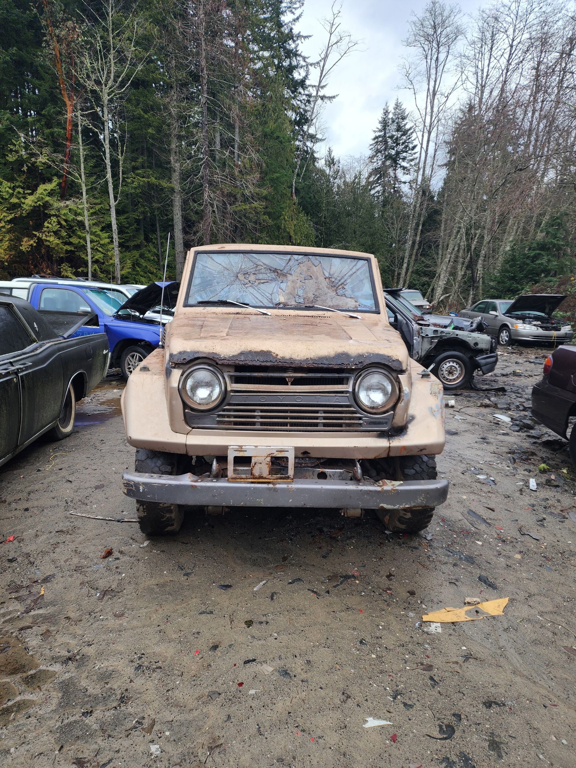 Tan, weathered SUV in a junkyard, front view; surrounding vehicles and trees visible.