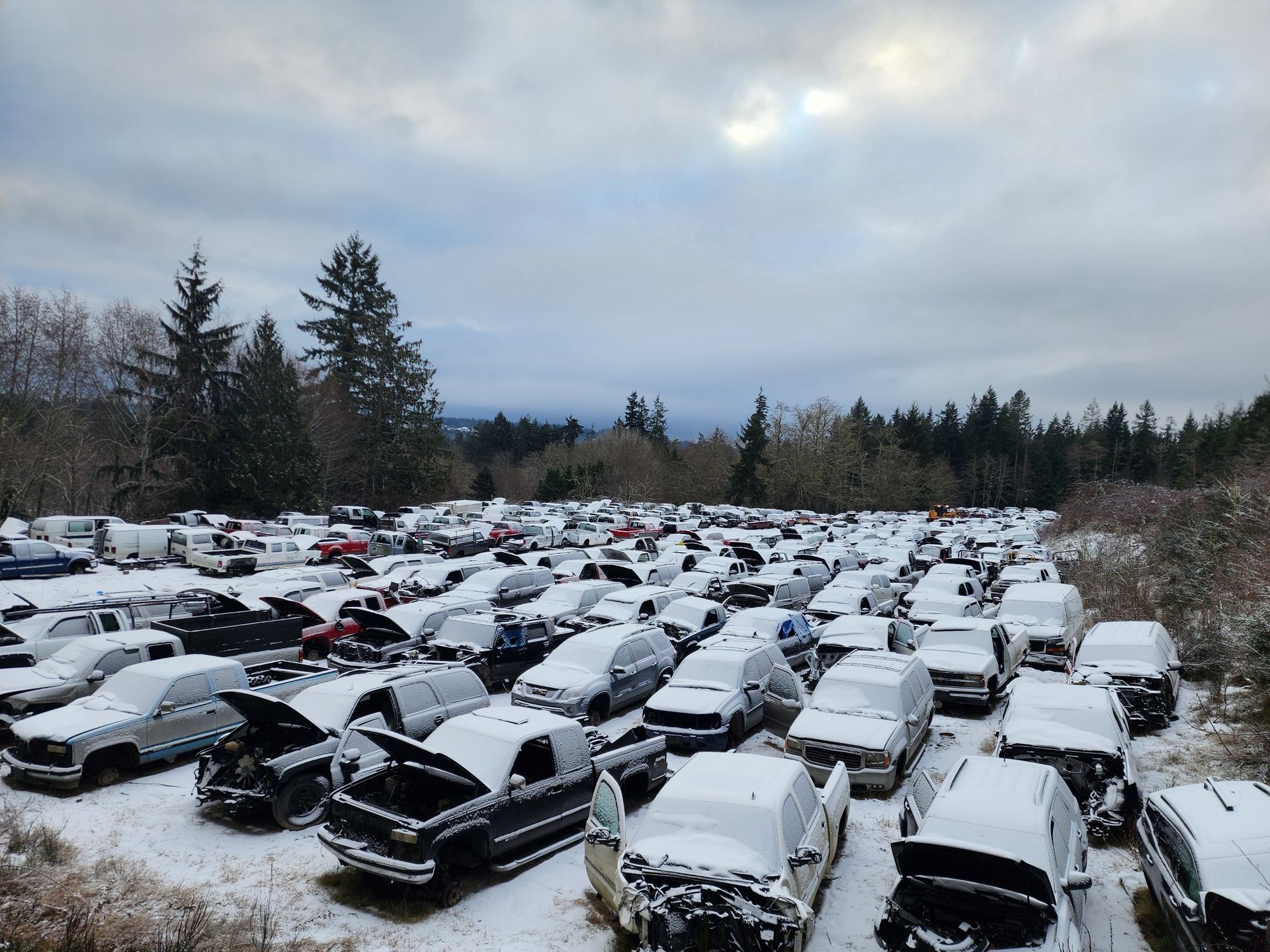 Snow-covered junkyard filled with cars; trees in the background under a cloudy sky.