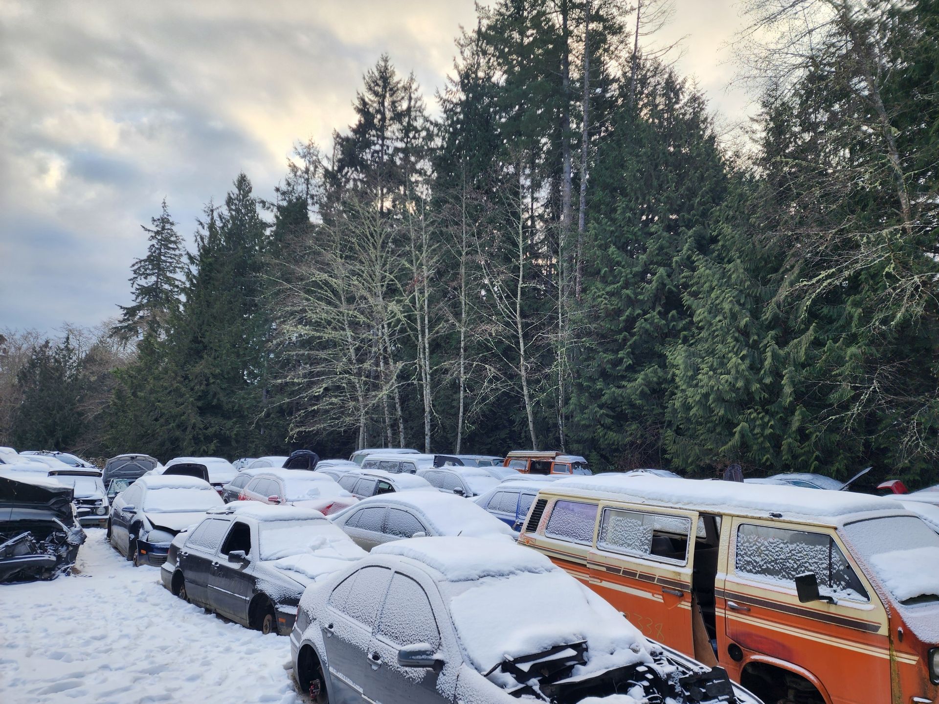 Snow-covered cars in a junkyard, backed by a forest under a cloudy sky.