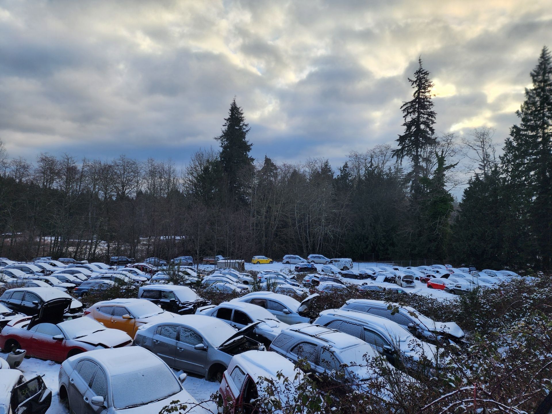 Snow-covered cars parked in a lot, trees in the background under a cloudy sky.
