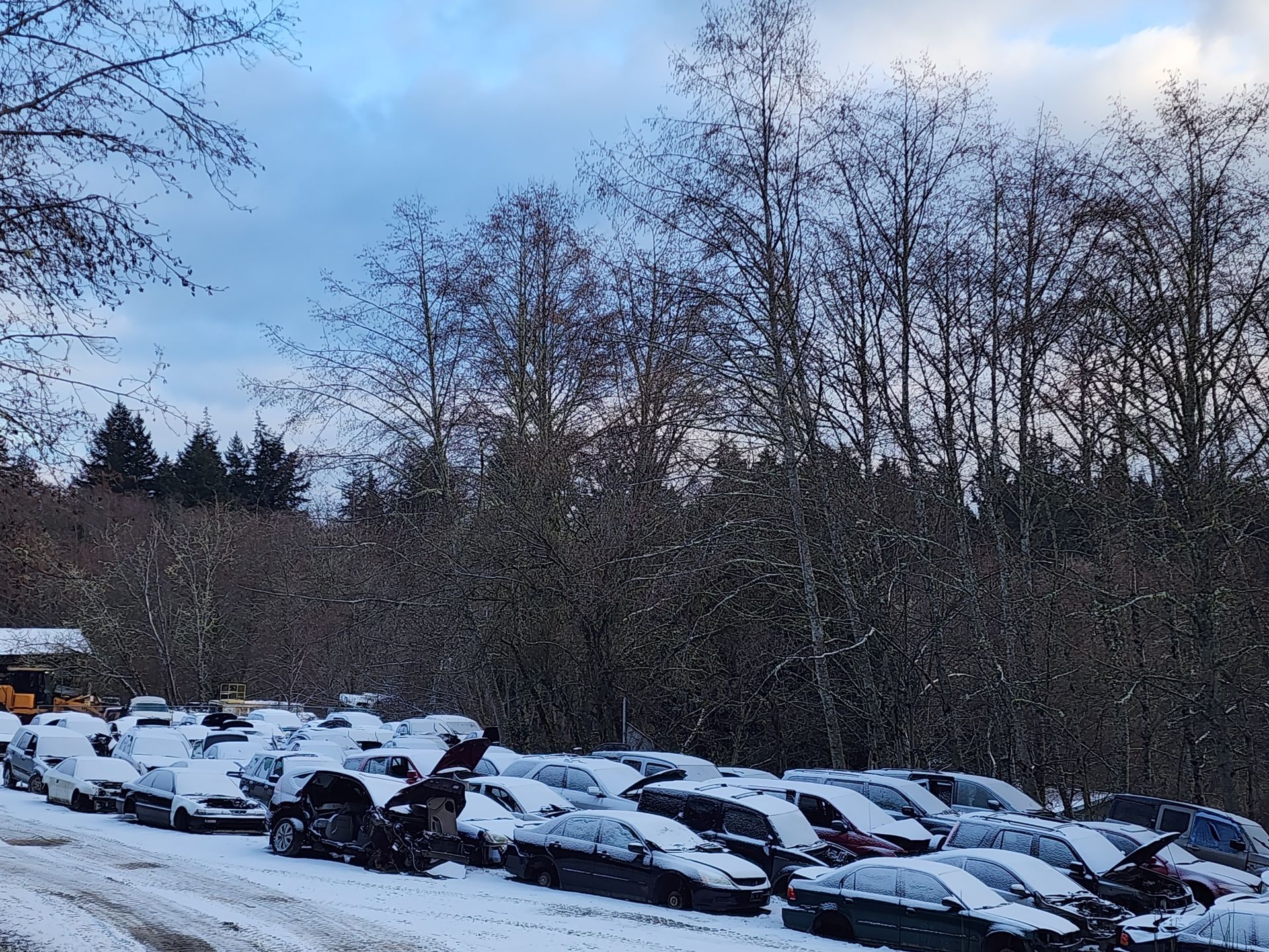 Cars covered in snow parked in a snowy lot, with trees in the background under a cloudy sky.
