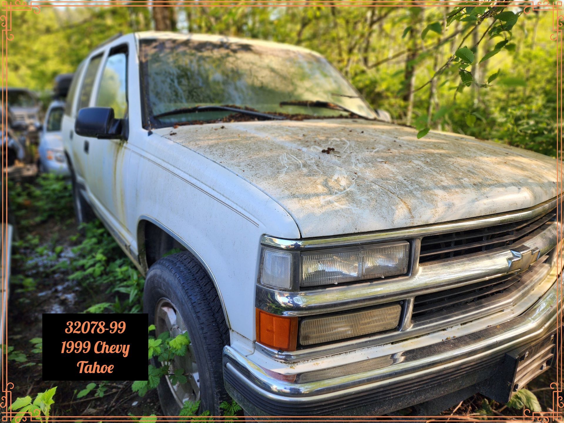 White 1999 Chevy Tahoe in a wooded junkyard, showing front view; weathered paint, surrounded by foliage.