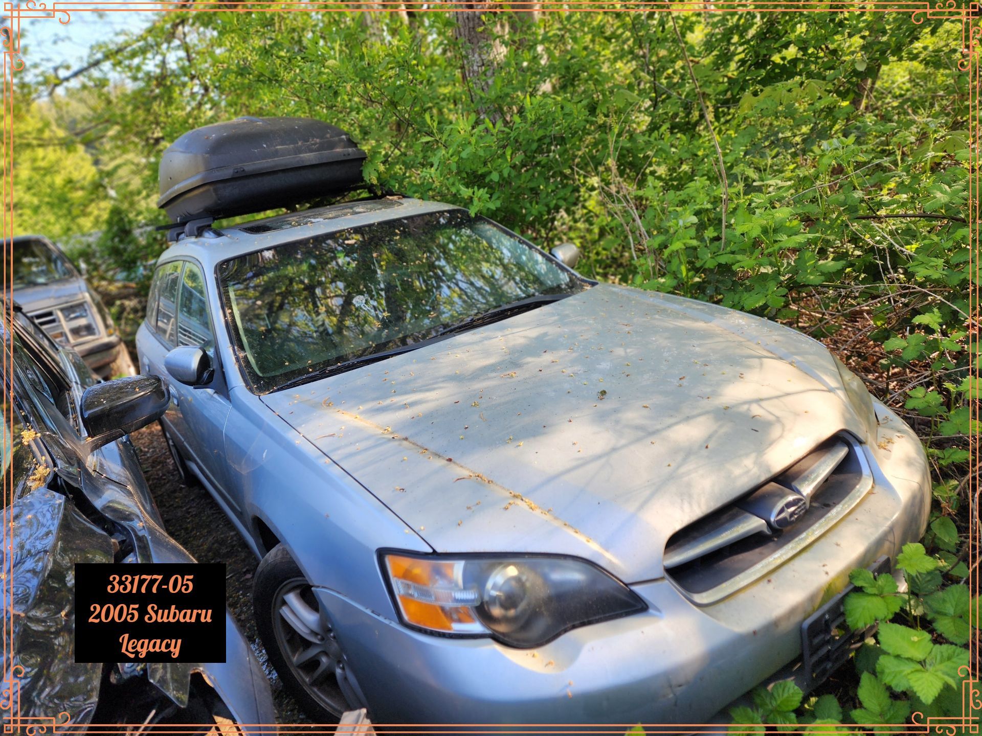 Silver 2005 Subaru Legacy with a black cargo carrier on its roof, surrounded by overgrown vegetation.
