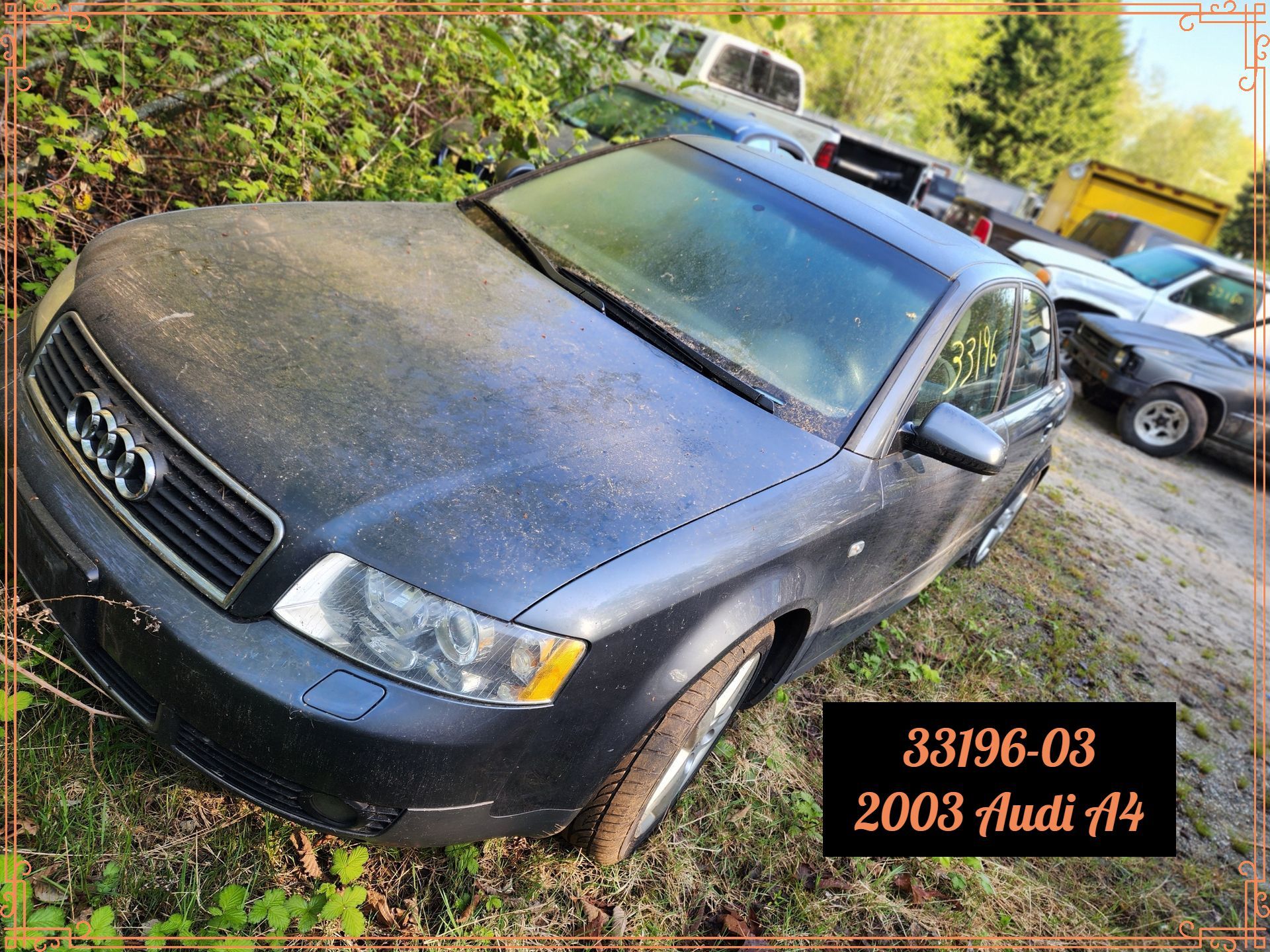 A dusty 2003 Audi A4 in a junkyard, dark blue, surrounded by overgrown vegetation.