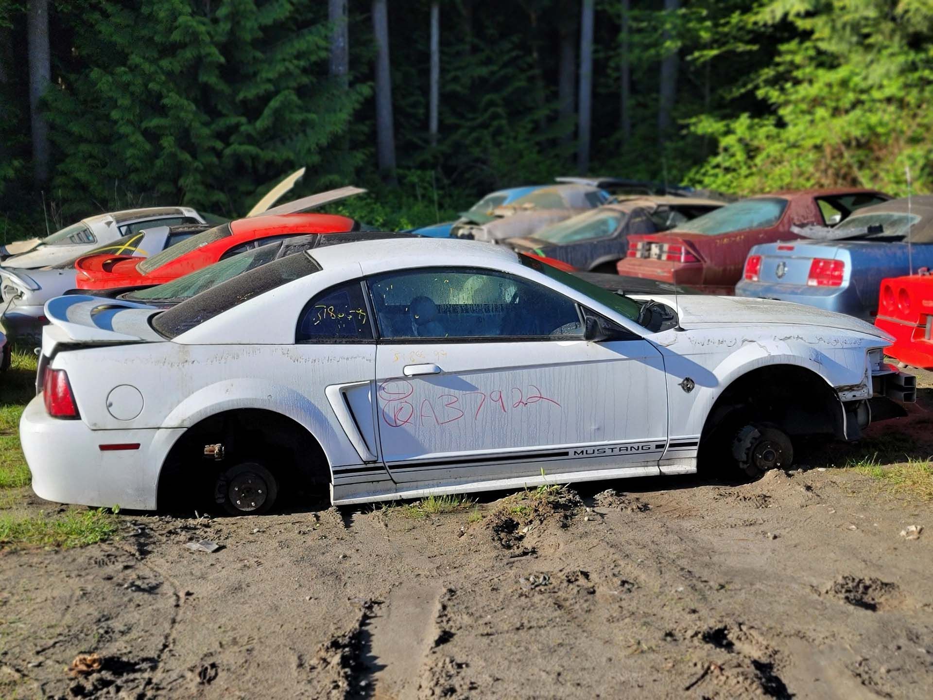 A white mustang is parked in the dirt next to other cars — Poulsbo, WA — Yank-A-Part