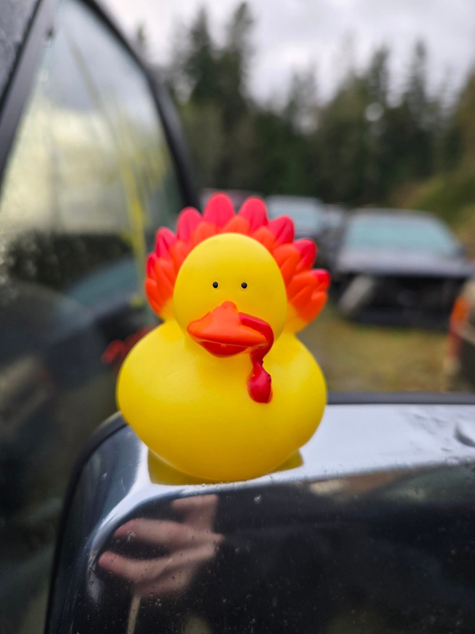 Yellow turkey duck toy with red comb and wattle, perched on a black vehicle mirror, outdoors.