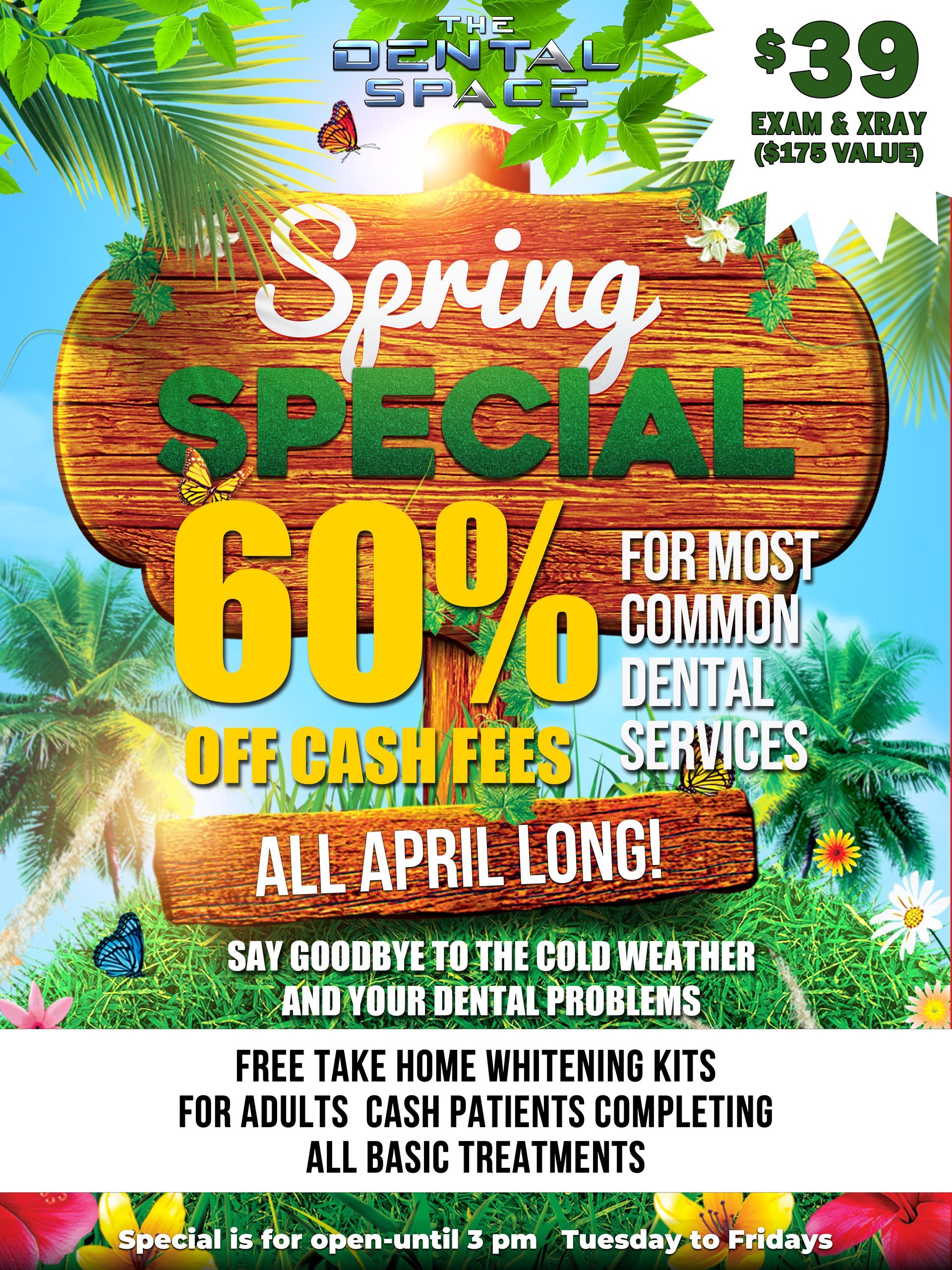 Dental Space Spring Promotion