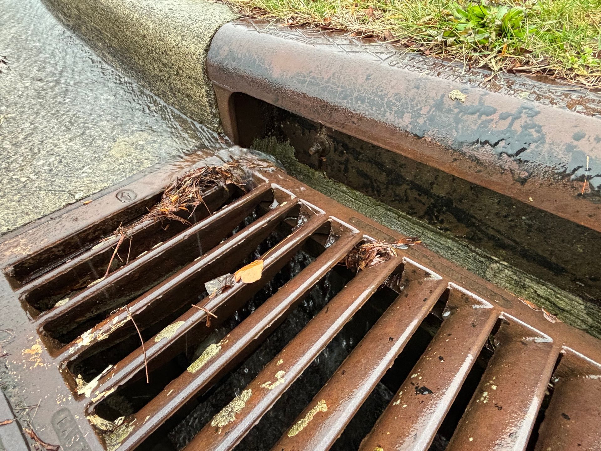 Gutter grate with debris next to a curb. Brown, wet metal with grass and a gray sidewalk.