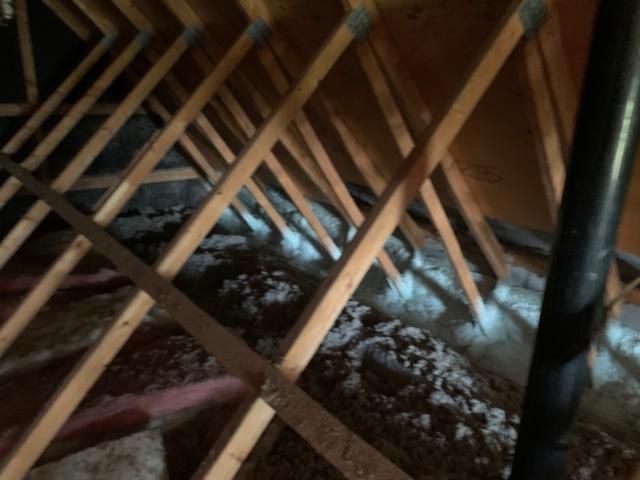 Grenier avec chevrons en bois et isolation. Un tuyau noir est visible.