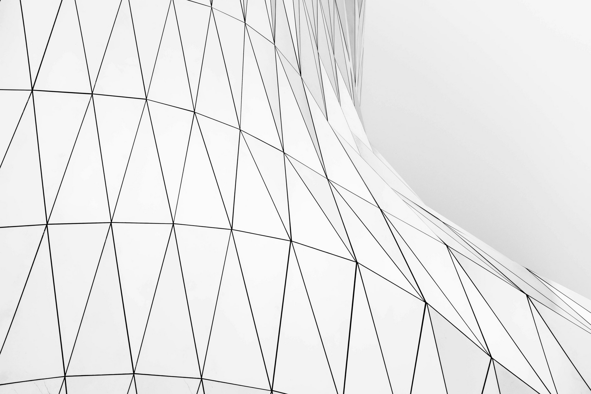 A close-up view of a white, curved surface covered by a dark, geometric wireframe mesh of interconnected triangles.