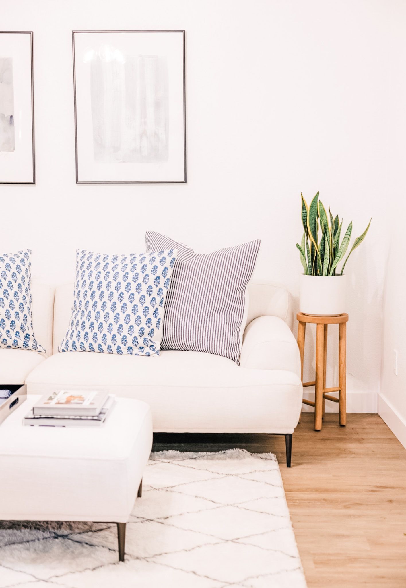 Cozy living room with a white couch, patterned pillows, framed art, and a snake plant on a wooden stand.