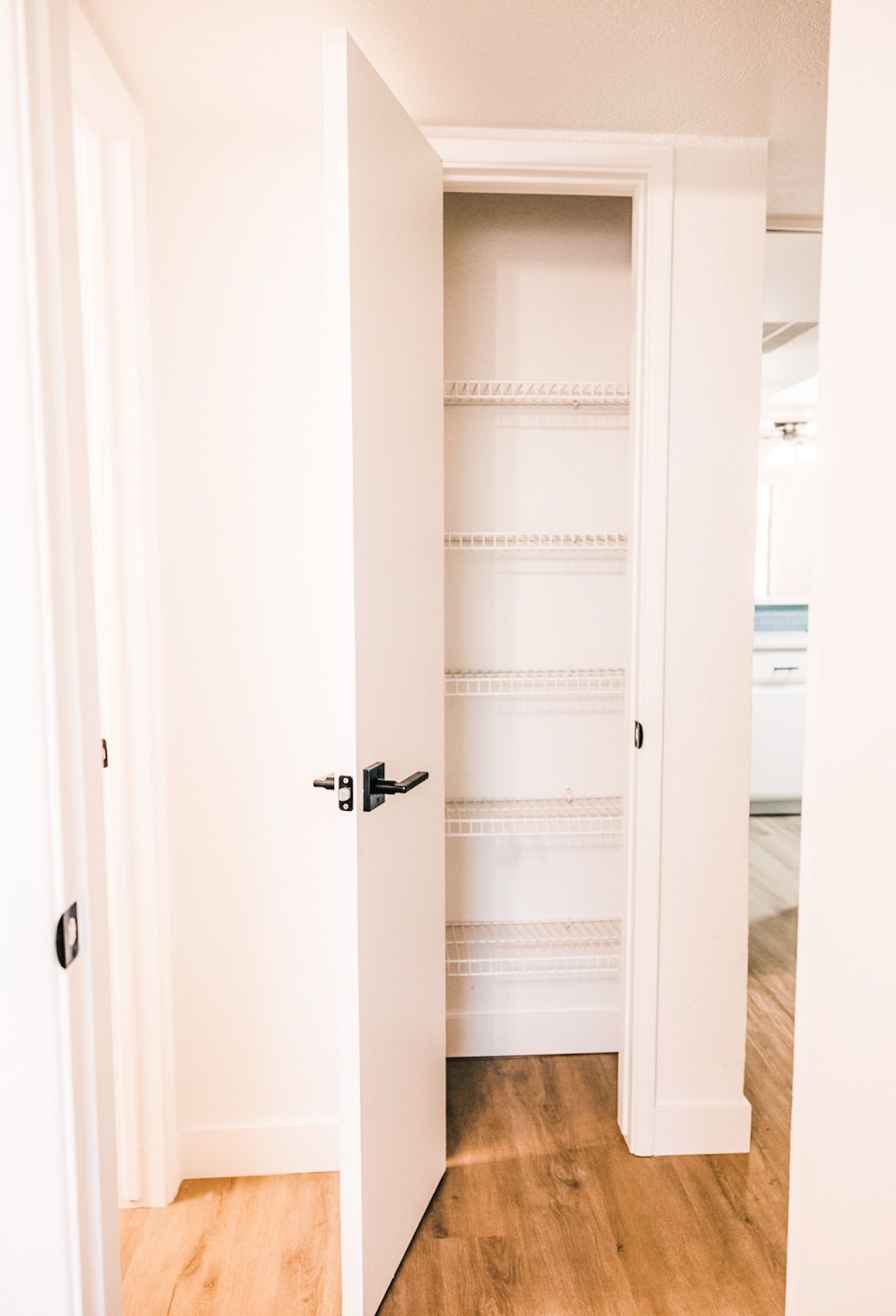 Open pantry door with wire shelves in a bright hallway with wooden floor.