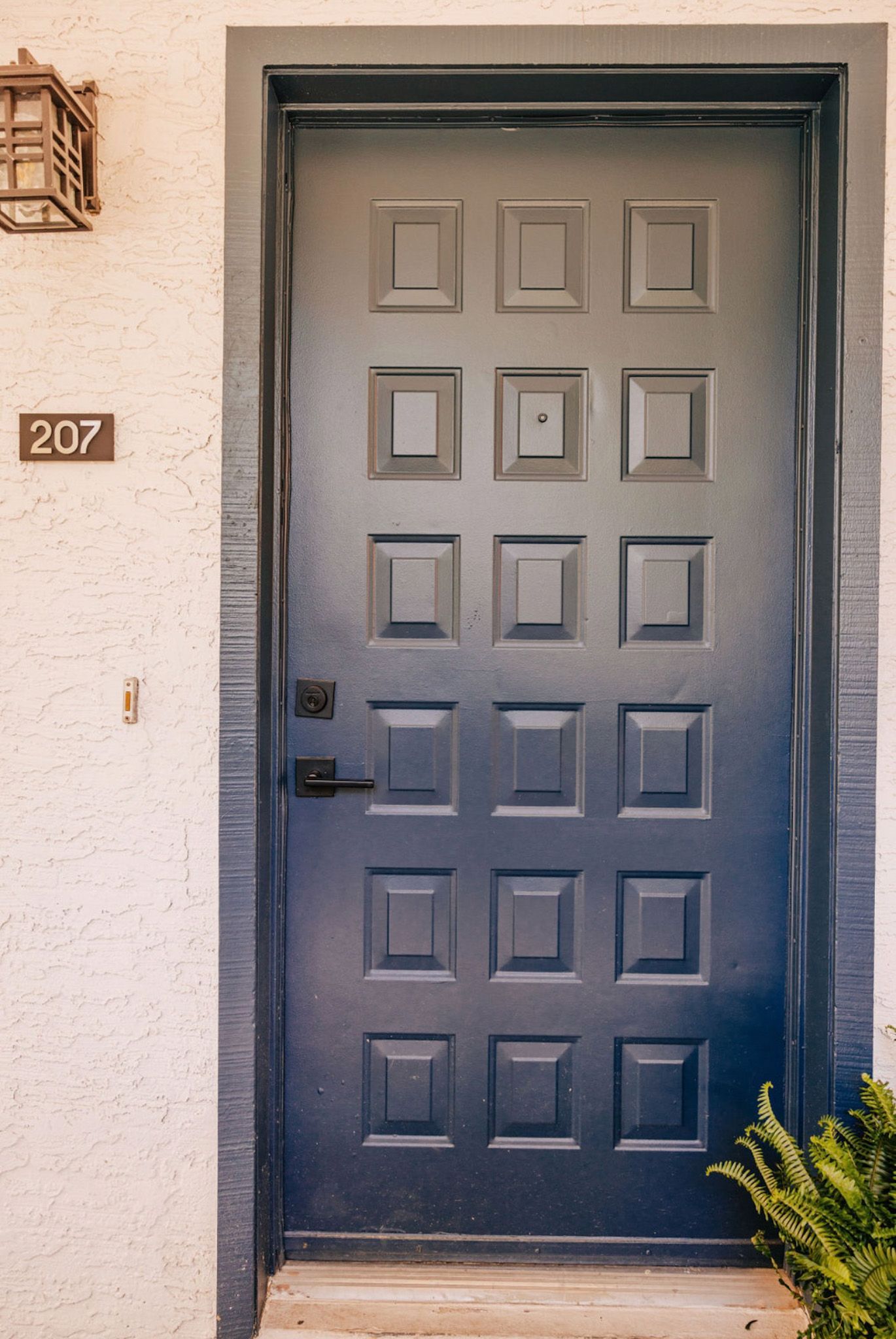 Dark blue door with rectangular panels, number 207 on wall, and small plant.