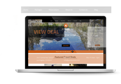 A laptop computer is open to a website that says view deal.