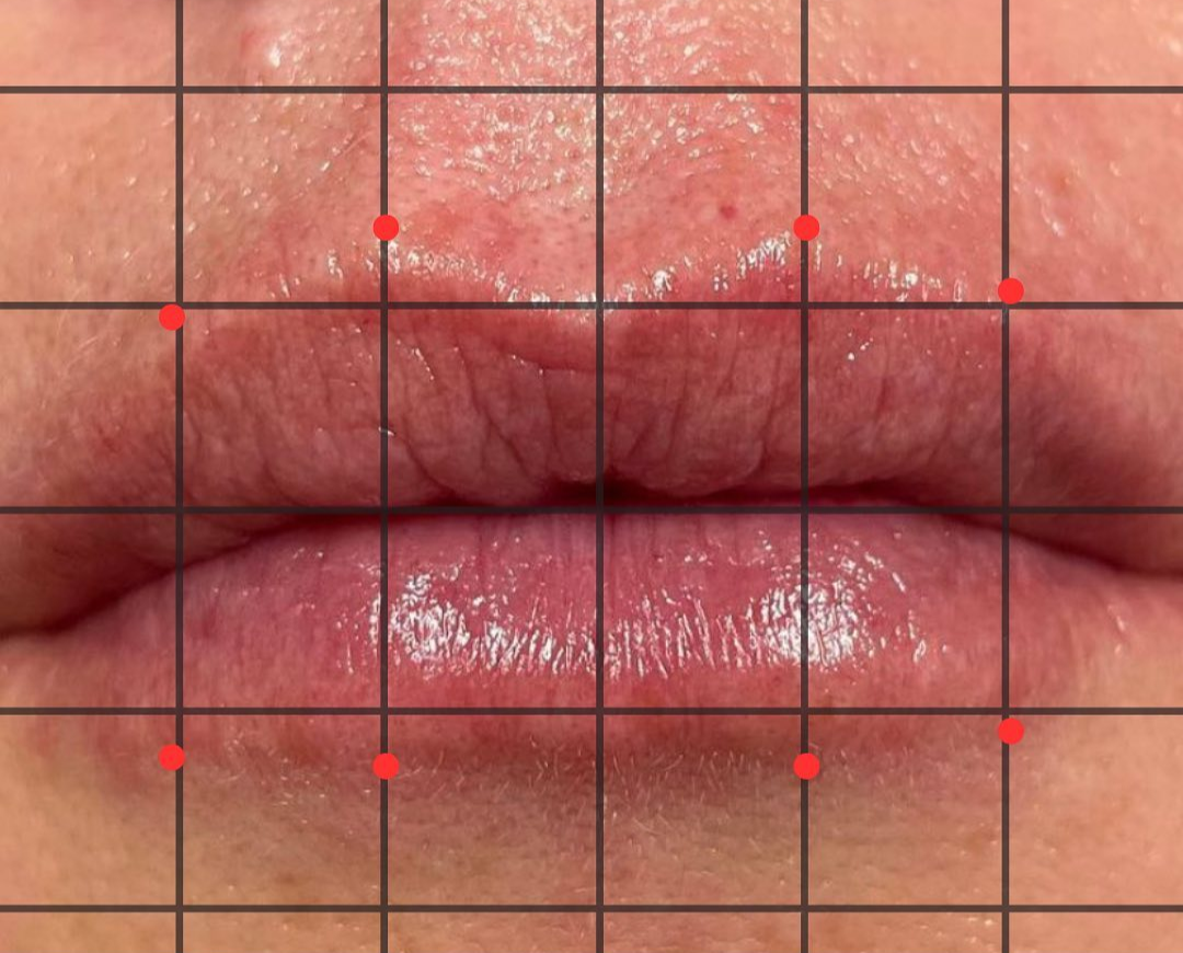 A close-up of human lips overlaid with a grid and red reference points indicating areas for facial assessment.