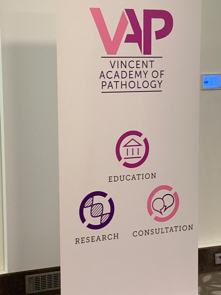 Vincent Academy of Pathology.