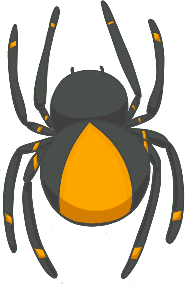 A black and yellow spider with long legs on a white background.