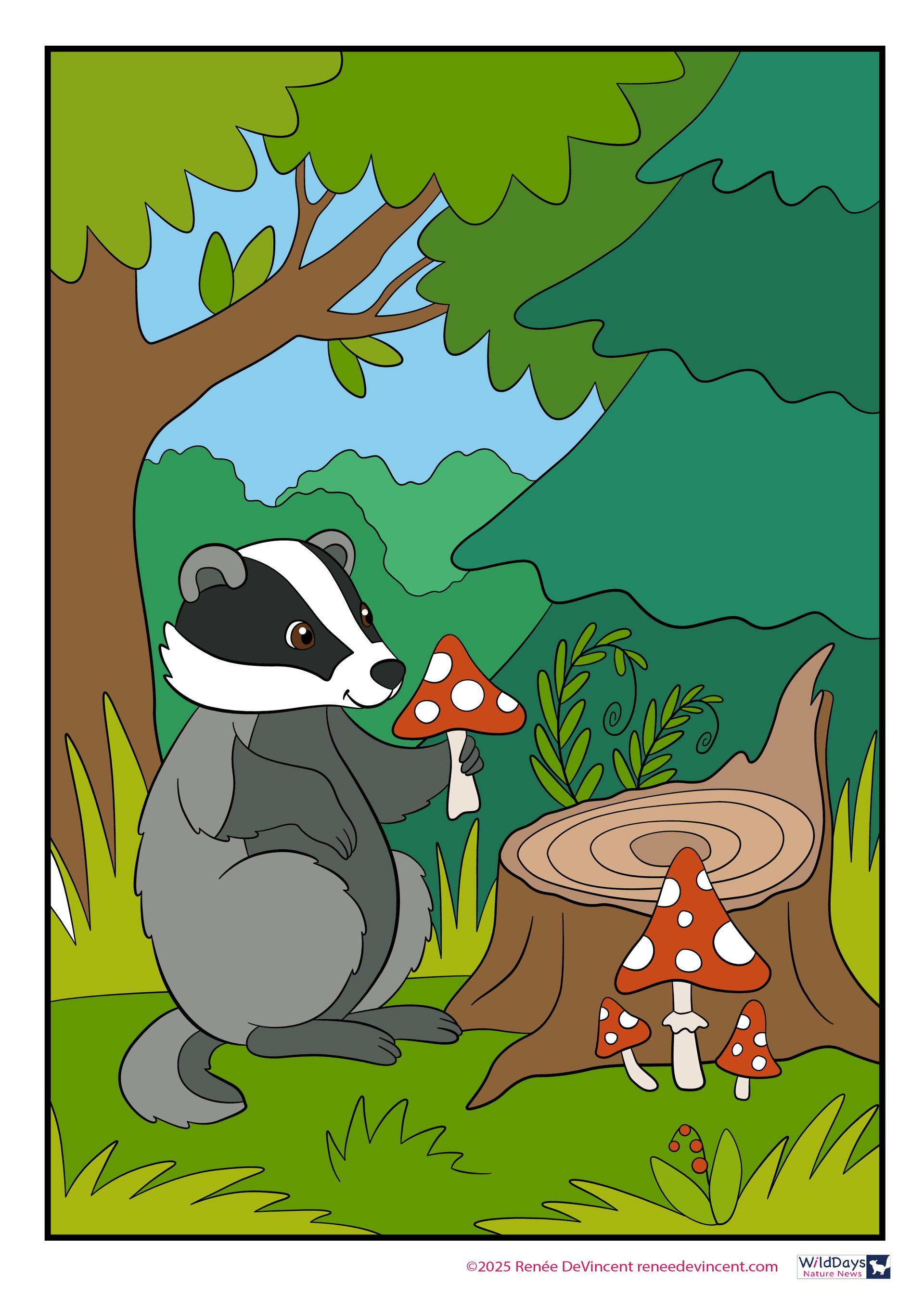 A badger is holding a mushroom next to a tree stump. Coloring Page.